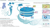 Evolution Exposed Conference MP4 Download