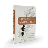 Jesus Amplified