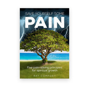 Save Yourself Some Pain - Booklet (NEW)